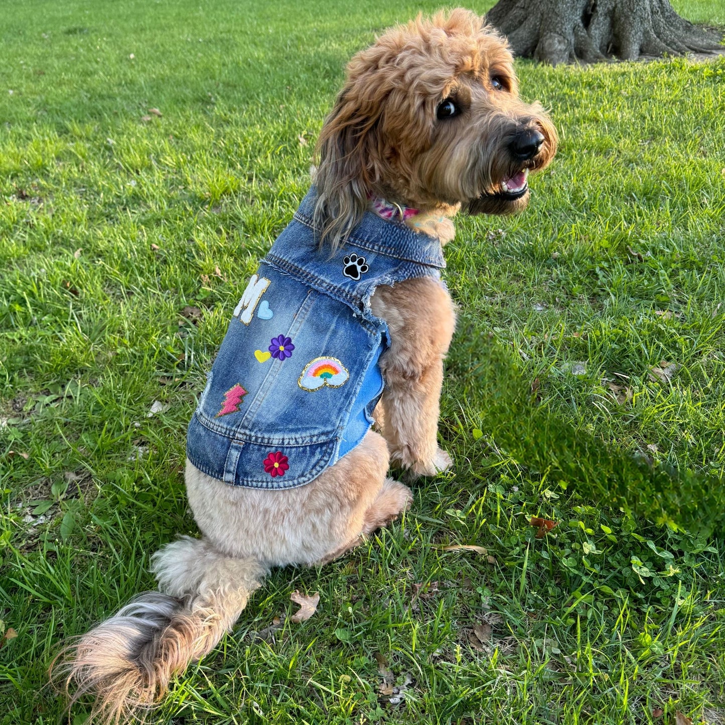 Custom Denim Dog Vest